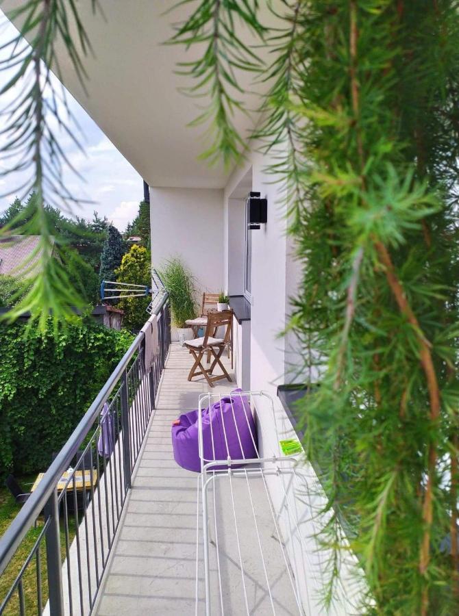 Pokoje I Apartamenty Na Szkolnej Zator Luaran gambar
